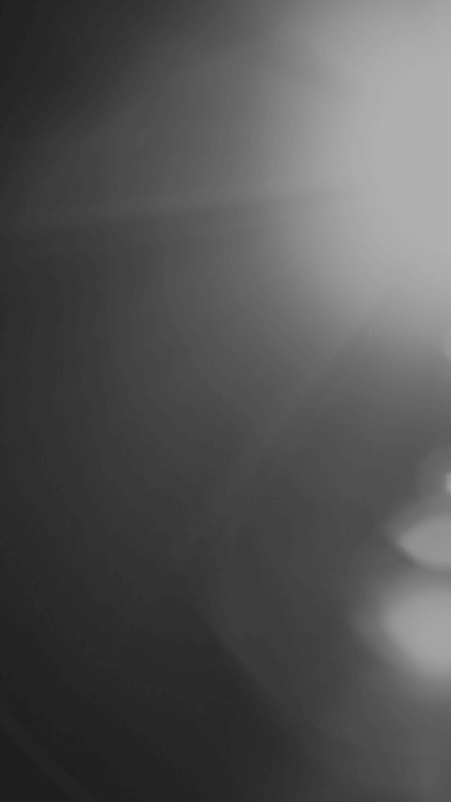 가로수 그늘아래서면