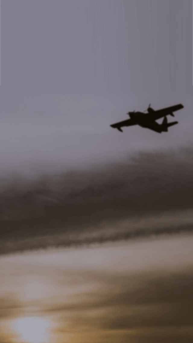 식빵 더빙 여자목소리 내가 미친듯📖