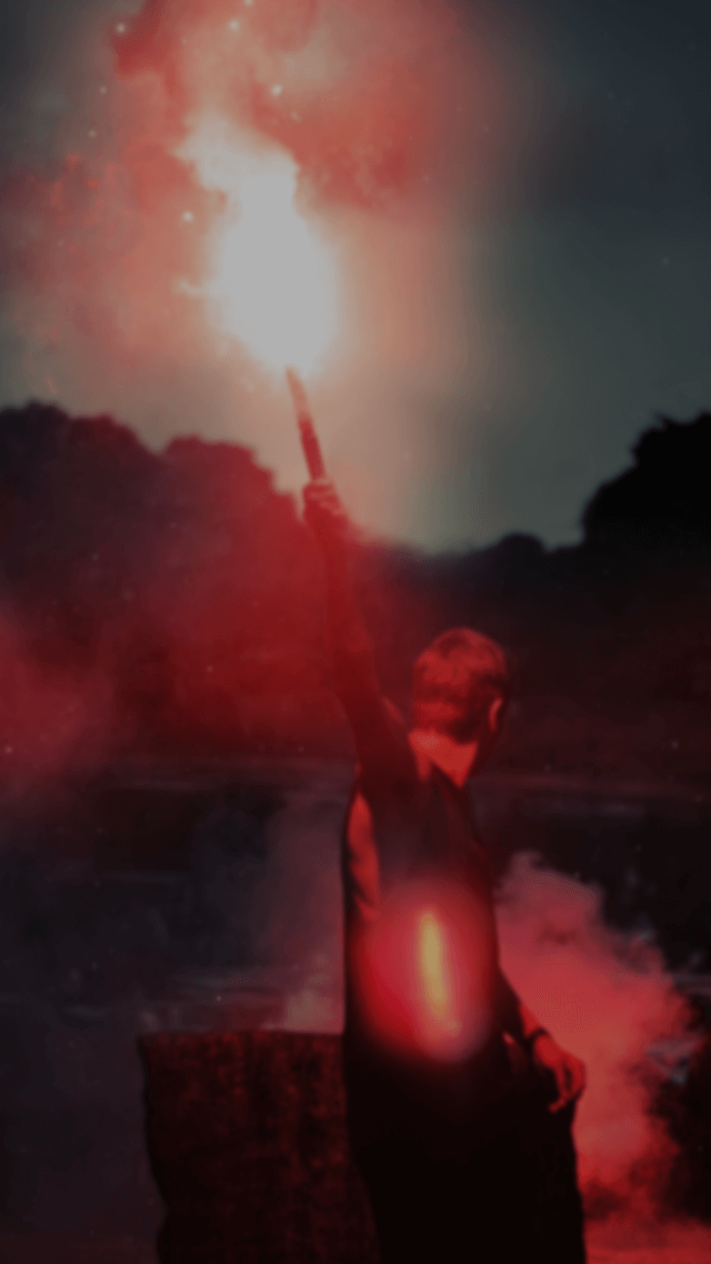 엘리제를위하여