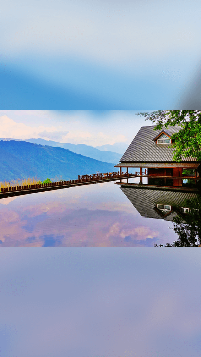 민트  초코🍫좋아하는사람들