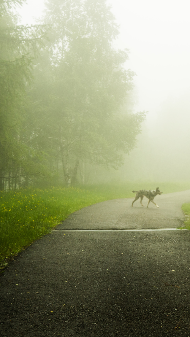 오해 - 소울크라이