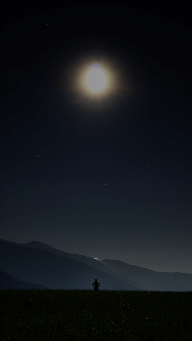 허약한 민트...??