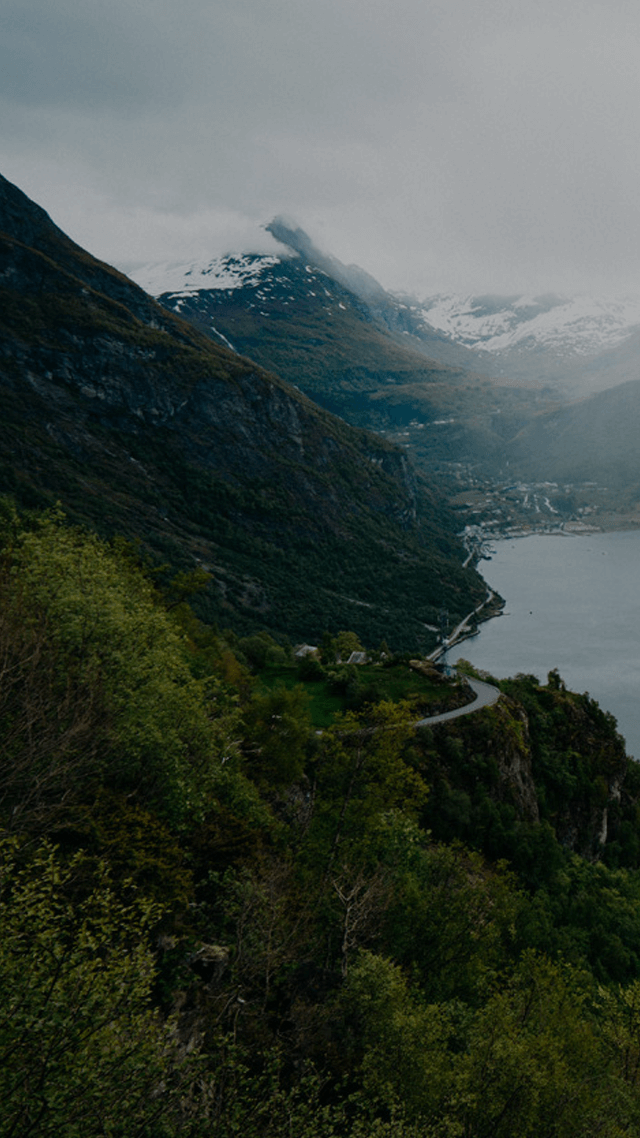 ᕈᗩᒪ 민트공지