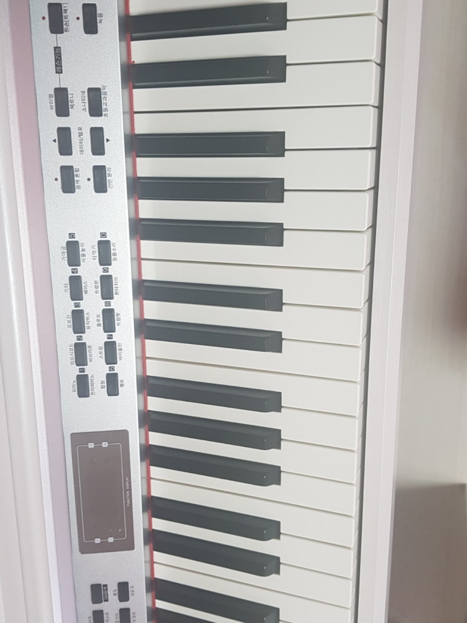 피아노 소리🎹🎵🎹💕💕