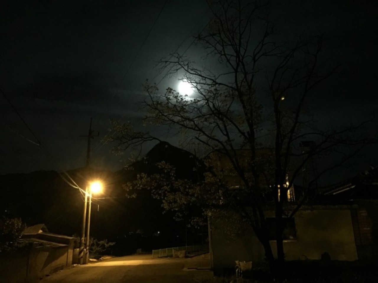 여름특집 - 무서운이야기 (레딧괴담)