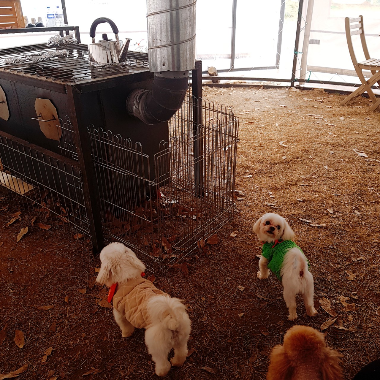 3040) 신청자유구역 데이브로🍙