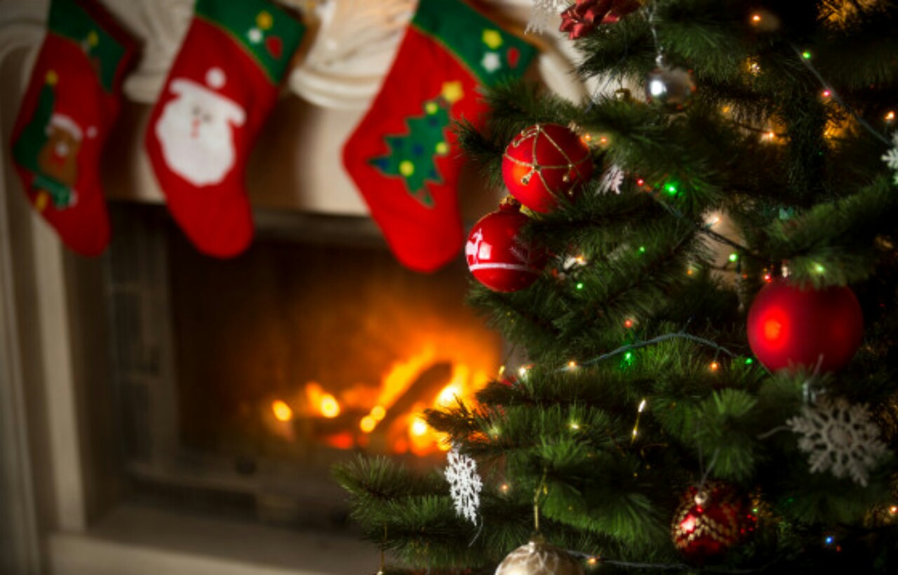 [Live Rec]캐롤-윈터 원더랜드