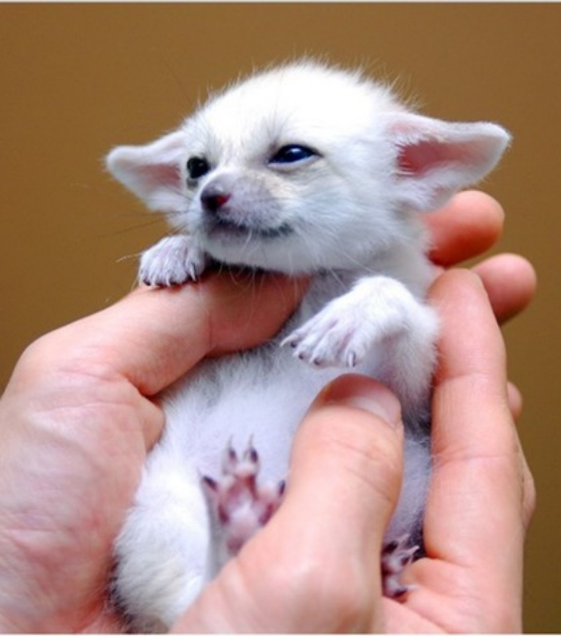 리방)하트 리액션 만들기!!