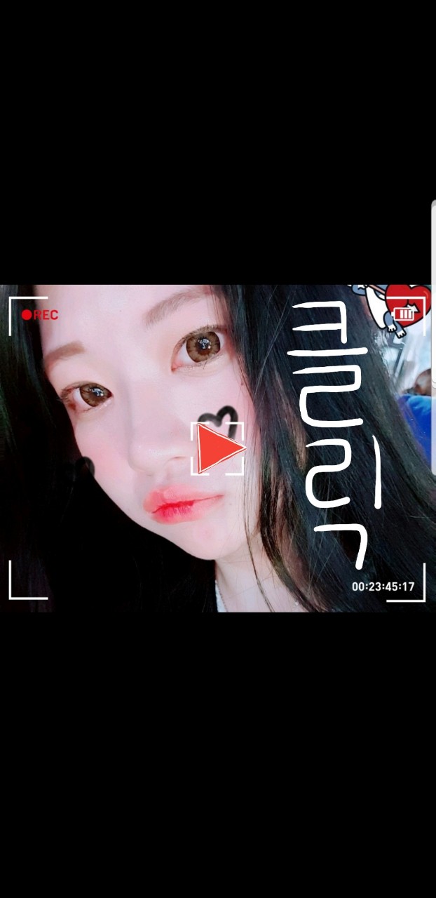 릴캐)과일고백송