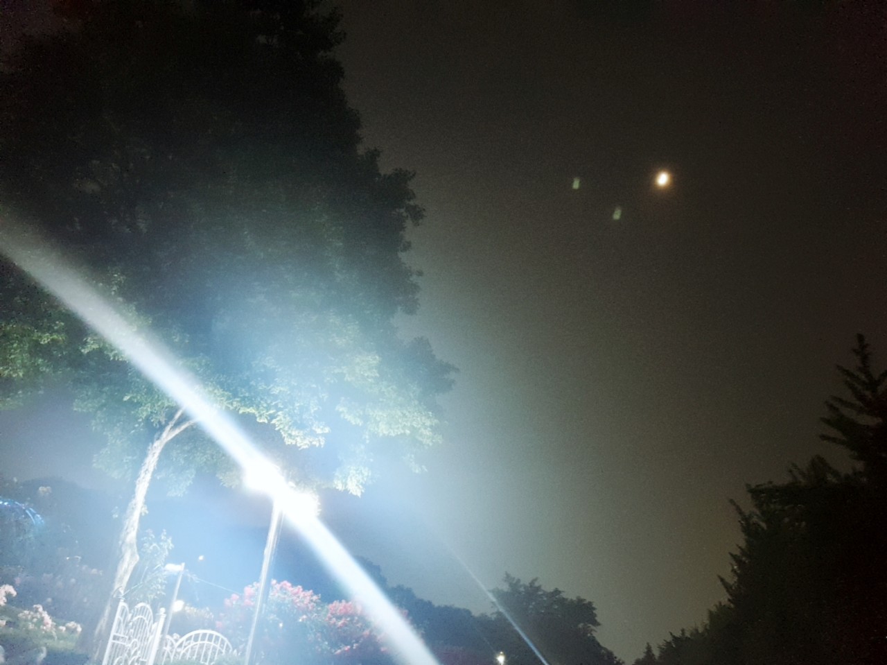 꽃처럼한철만사랑해줄껀가요ㄴㄹㅂ어려워요