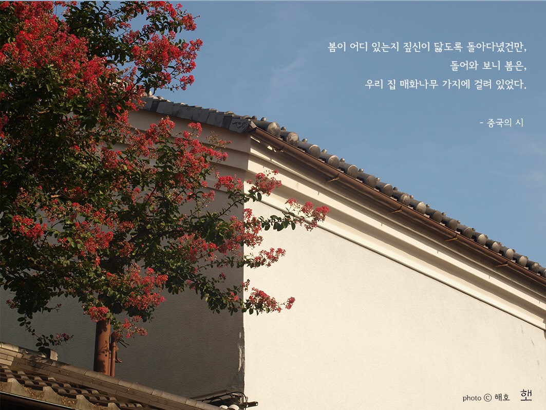 꽃, 하나