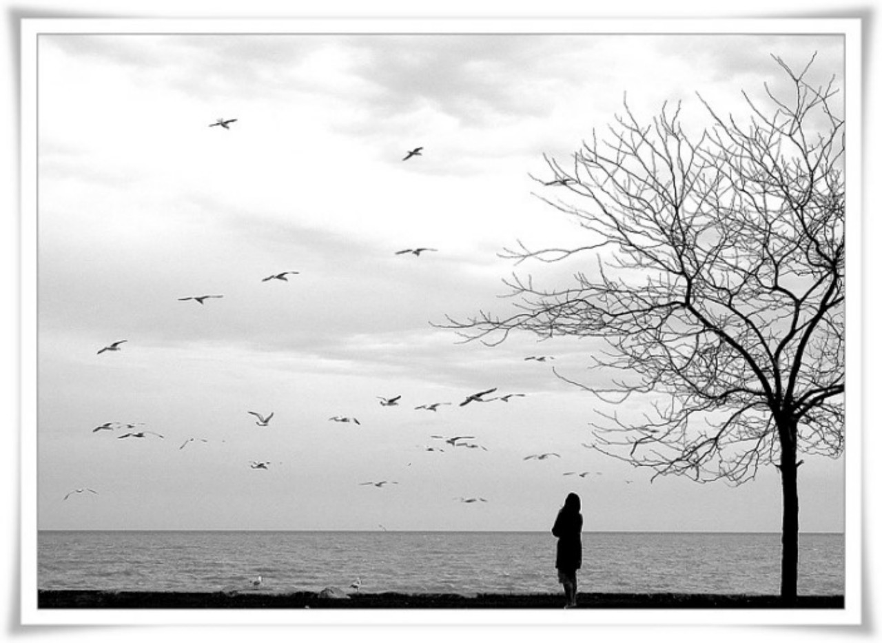 그리움🍉🍈🍇