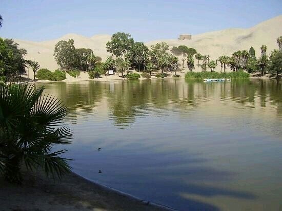 [피아노]オアシス 오아시스 반주