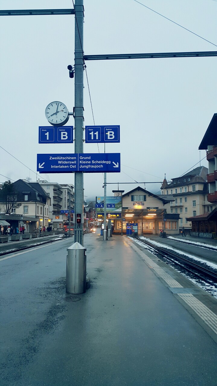 무작정 마이 누르기