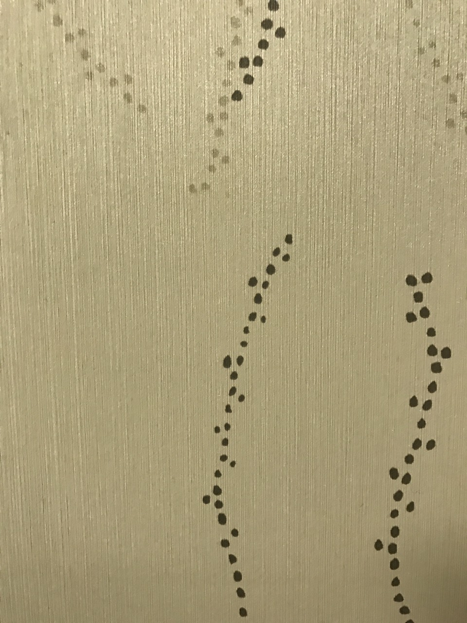 김양말