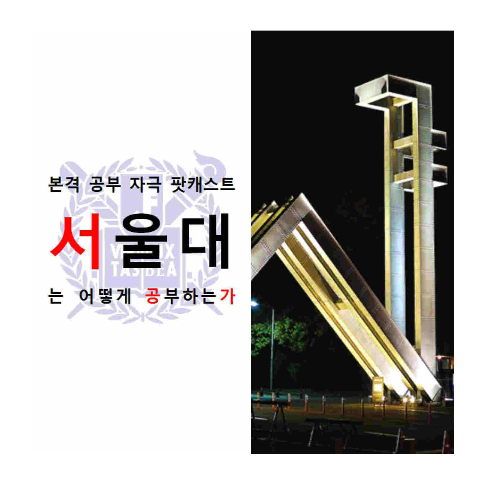 365공부비타민