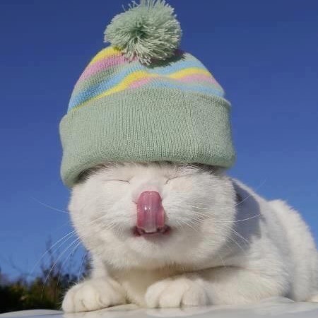 블리💛