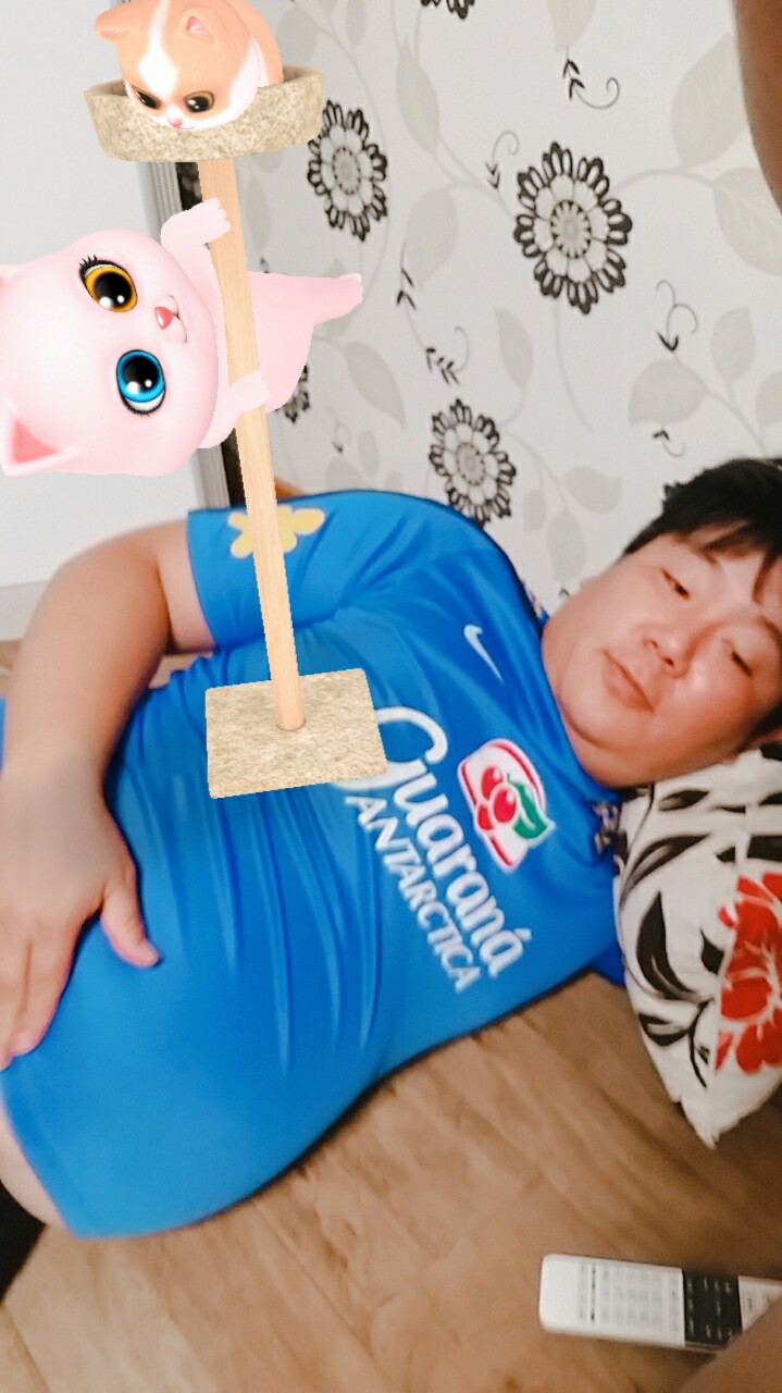 잼민스