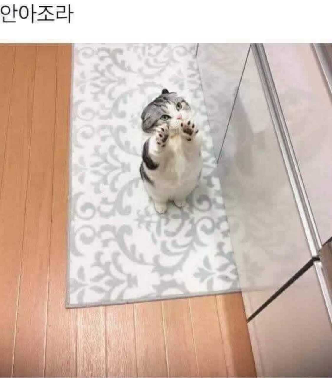 🍔인더목소리
