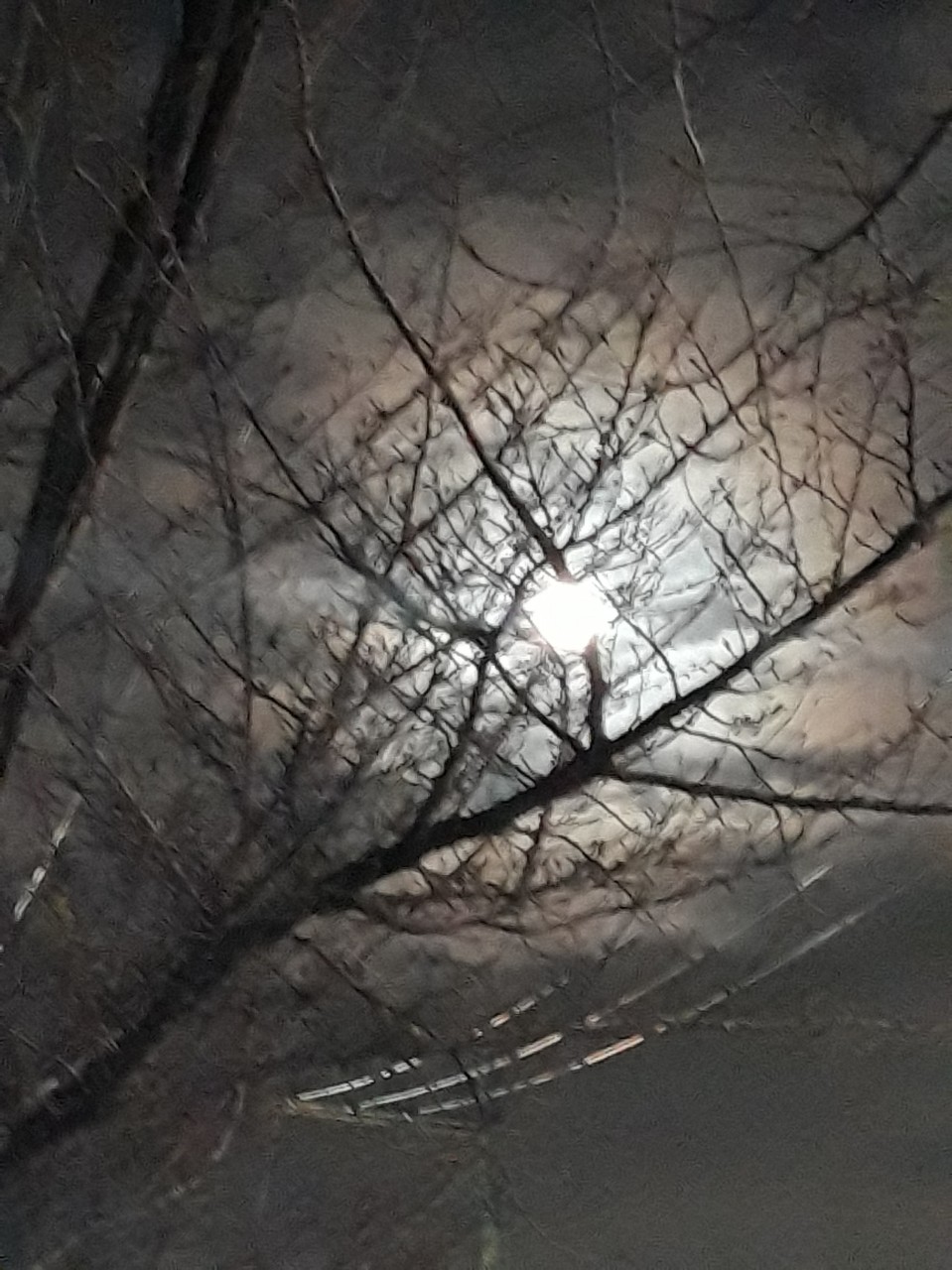 초록초록🥑🍏